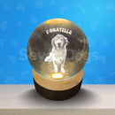 Luminárias de Cães