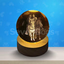 Luminárias Pessoas com Pets