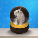 Luminárias de Outros Pets