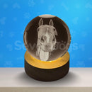 Luminárias de Outros Pets