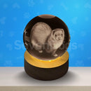 Luminárias de Outros Pets