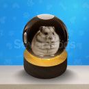 Luminárias de Outros Pets