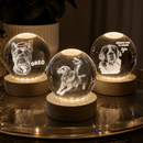 Luminária Personalizada Cães