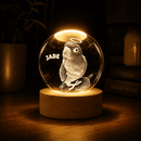 Luminária Personalizada Outros Pets
