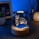 Luminária Personalizada Gatos