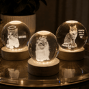 Luminária Personalizada Gatos