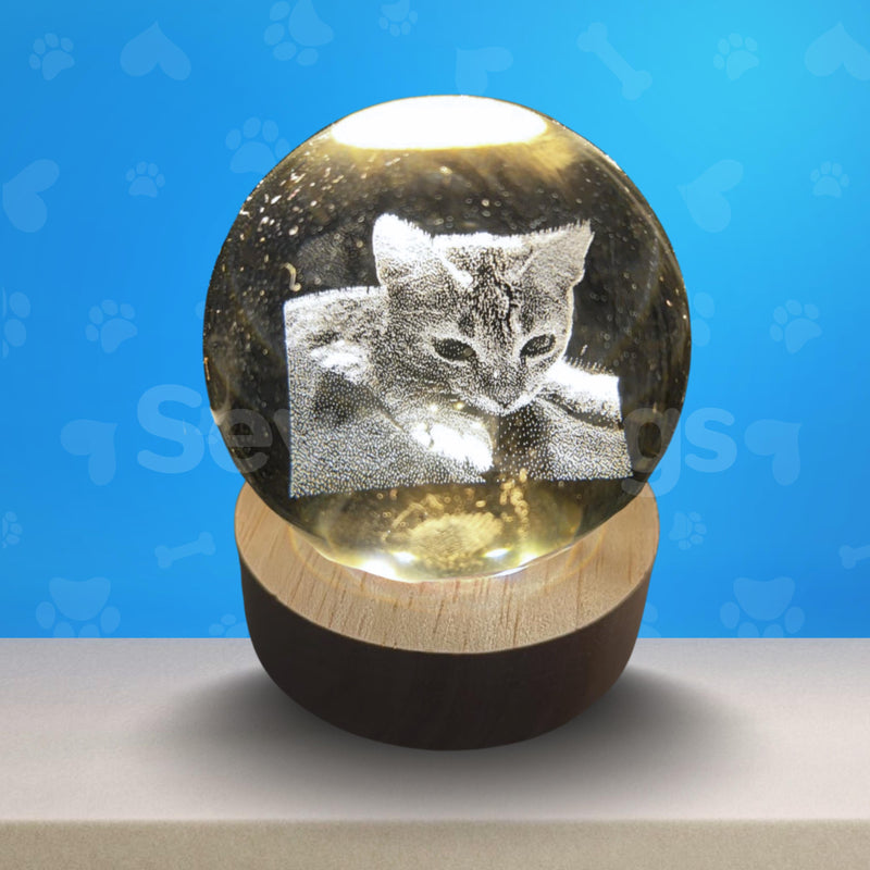 Luminárias de Gatos