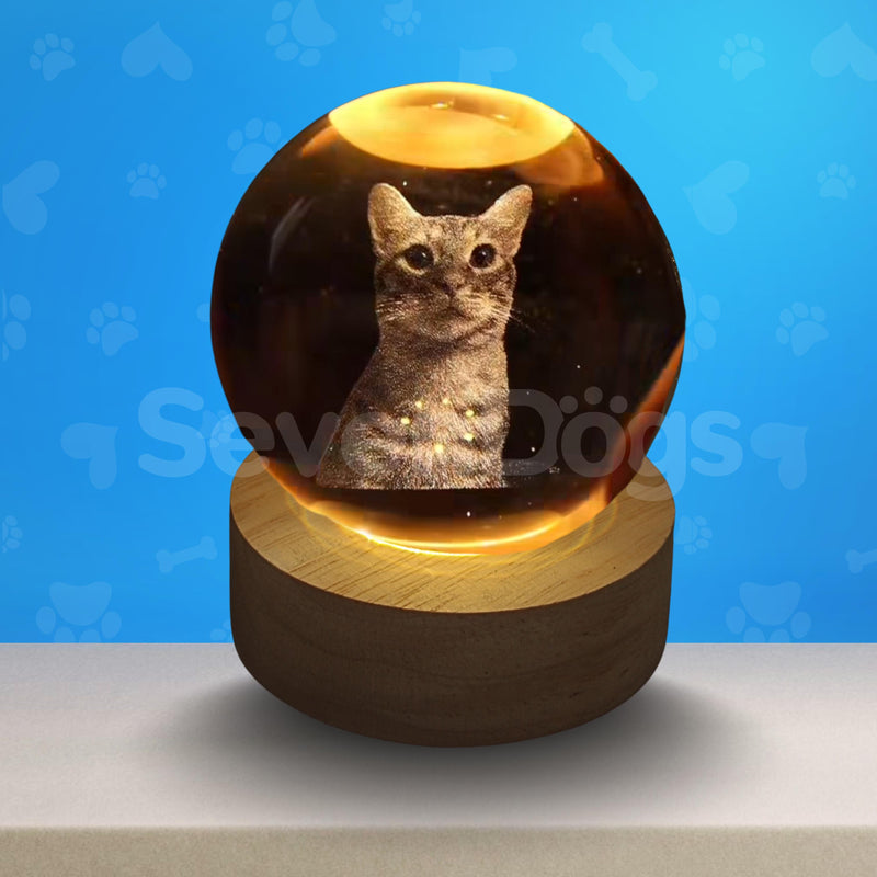 Luminárias de Gatos