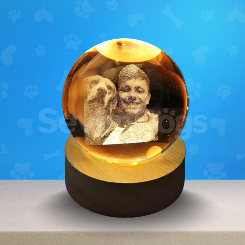 Luminárias Pessoas com Pets