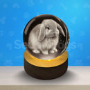 Luminárias de Outros Pets