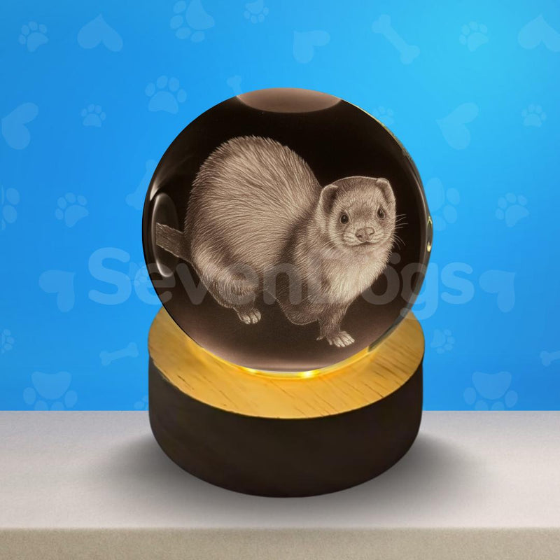 Luminárias de Outros Pets