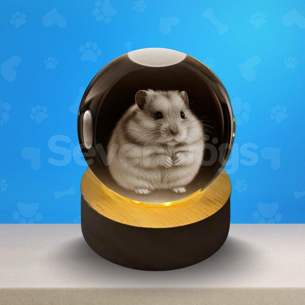 Luminárias de Outros Pets